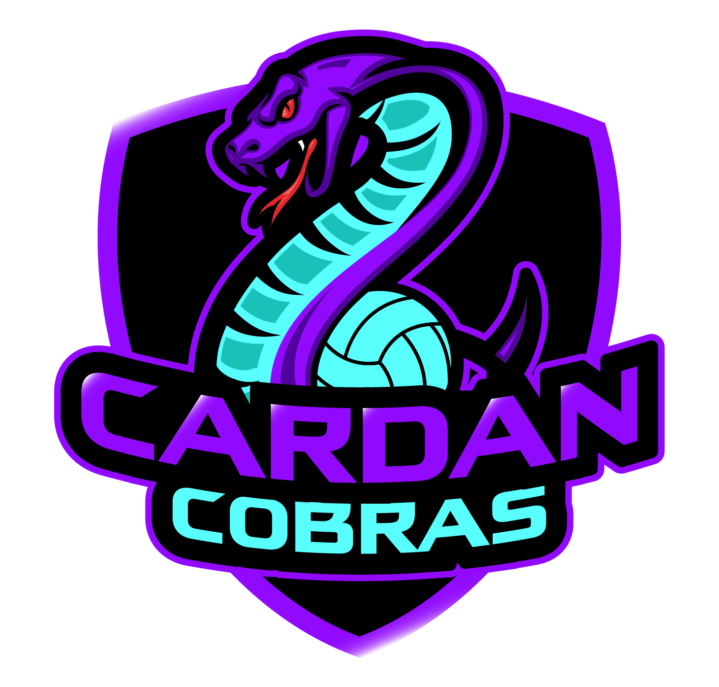 Cardan Cobras Volleyball Club